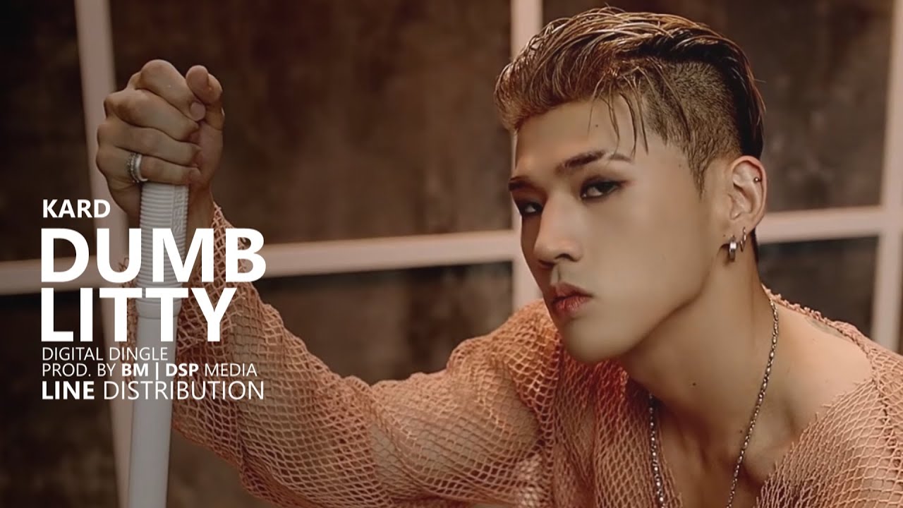 KARD - DUMB LITTY | Line Distribution