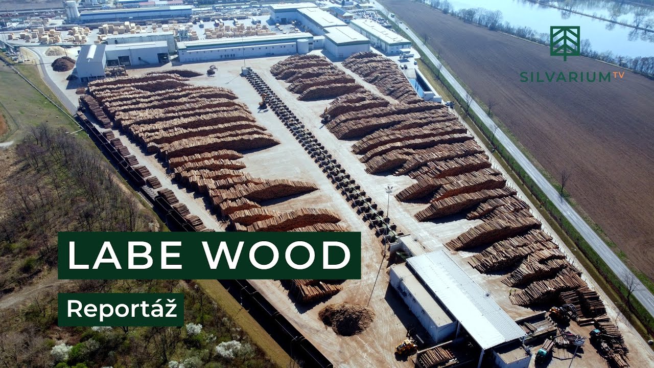 Pila LABE WOOD: Reportáž ze závodu s nejmodernějšími pilařskými technologiemi