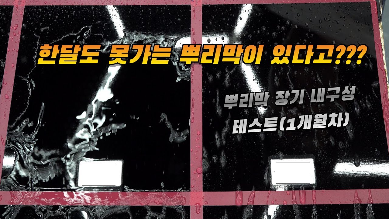 [DIYYOURCAR#561] 뿌리막이 한달도 못간다고? 그냥 물왁스 쓰는게 낫지않아?( 뿌리막 장기테스트 1개월차)