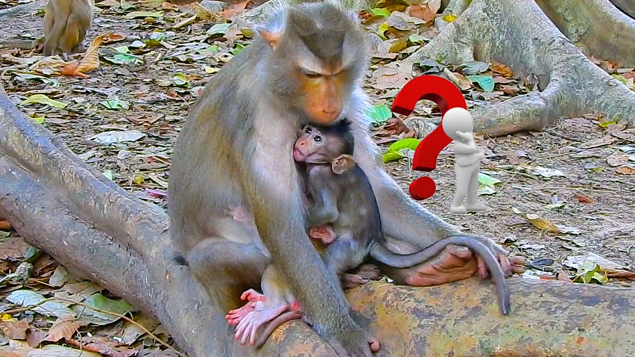 Sweet Moment..Whose baby came to seek the warmth of Libby and embrace Libby tightly