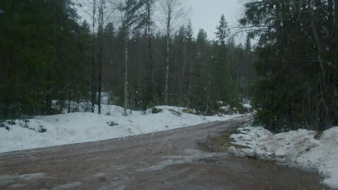 Rain forest Window View 🌿 | Relaxing Rain Sounds For Sleep
