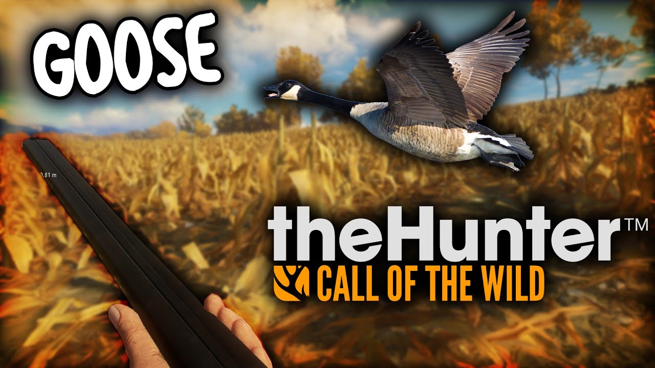 CANADA GOOSE SPOT - LOVIMO GUSKE! - theHunter Call Of The Wild Ep#4