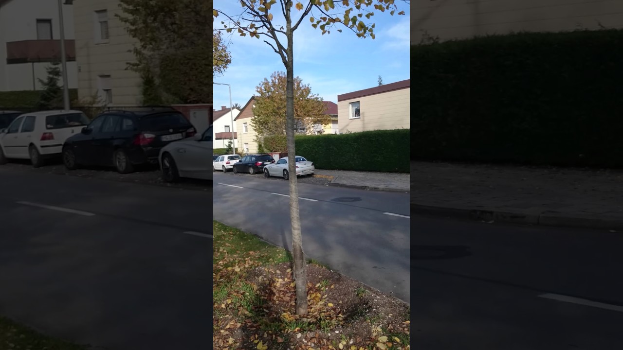Irgendwo in Feldmoching