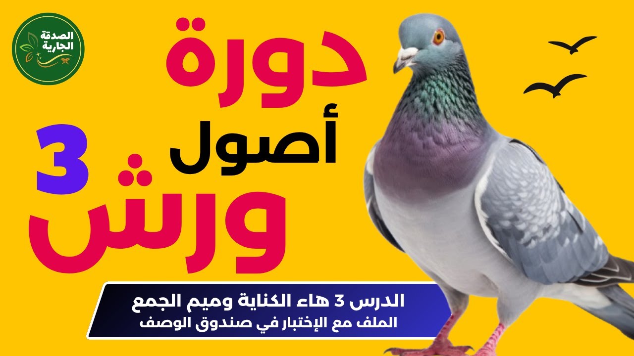 تعلم ميم الجمع وهاء الضمير في ورش! 🔥