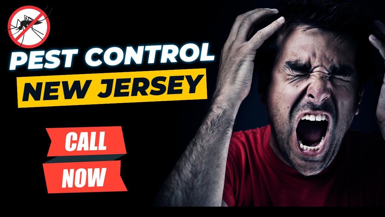 Pest Control New Jersey | Your Guide to a Pest-Free Home