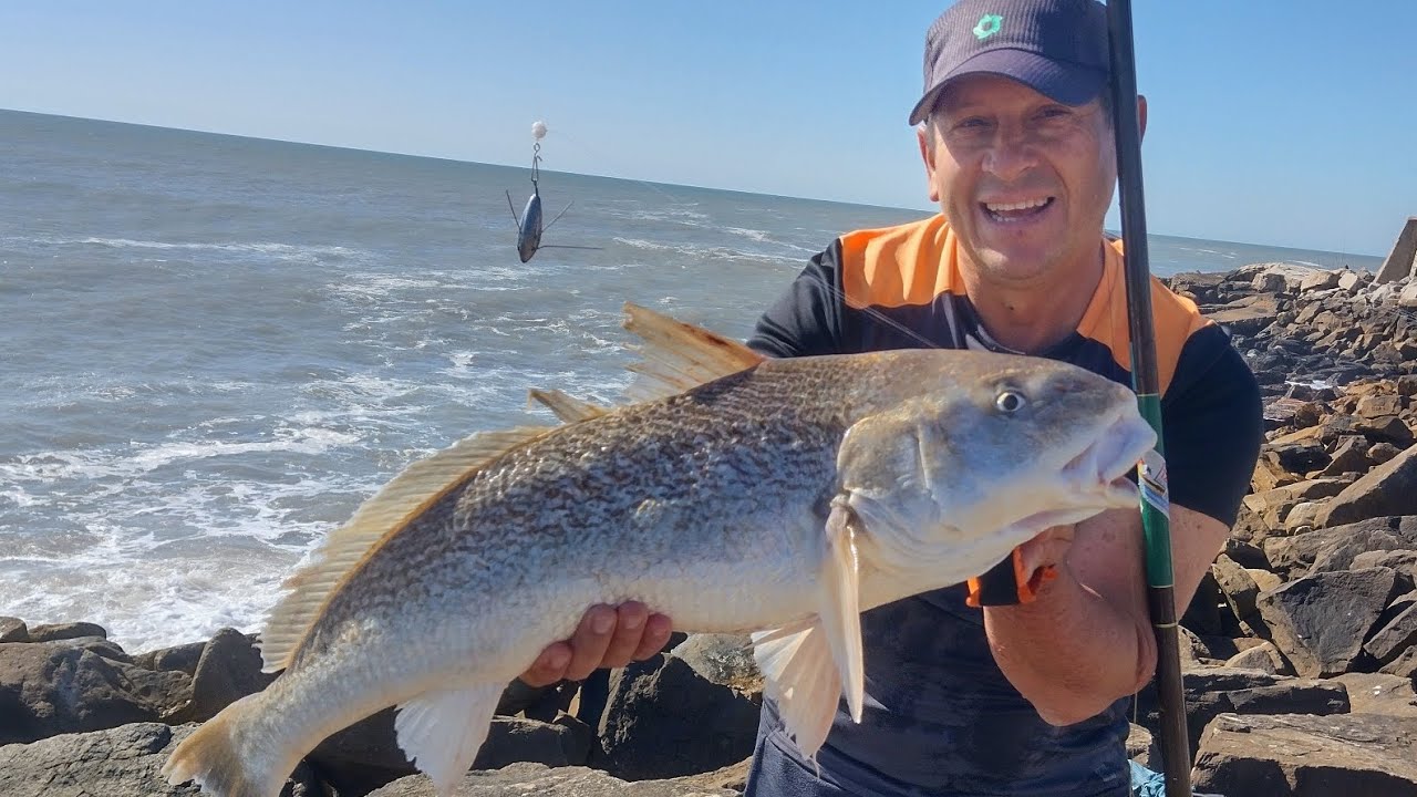 Línea Súper Rastrera con Doble Baitclip para Corvinas, Chuchos, etc 