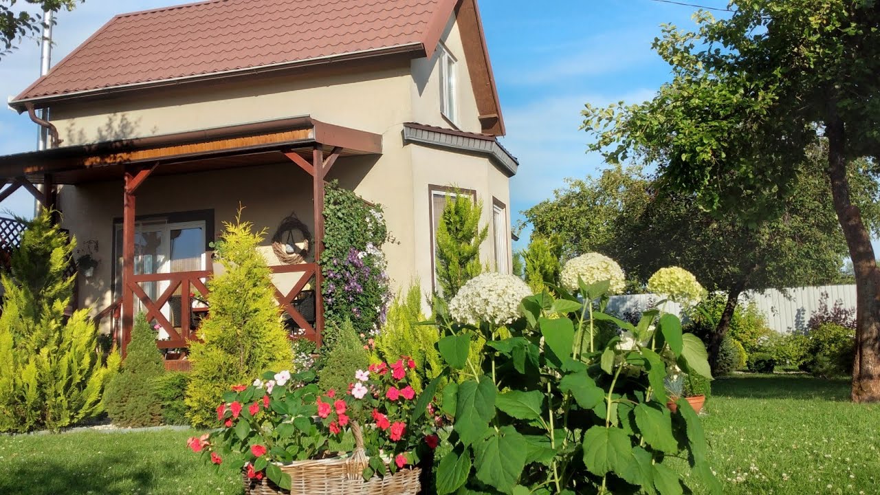 Идеальные сочетания Цветов🌹 и Растений🌿 для Малоуходного Сада #сад #garden