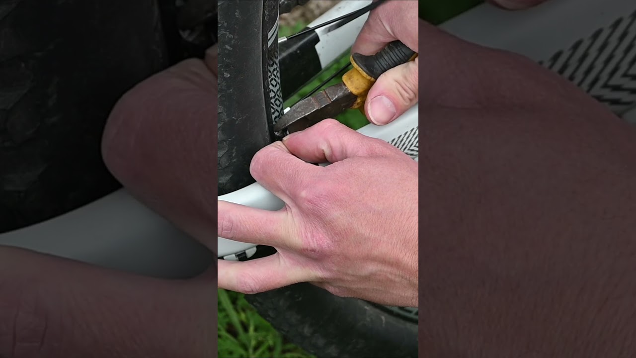 Precinto para alinear la rueda 