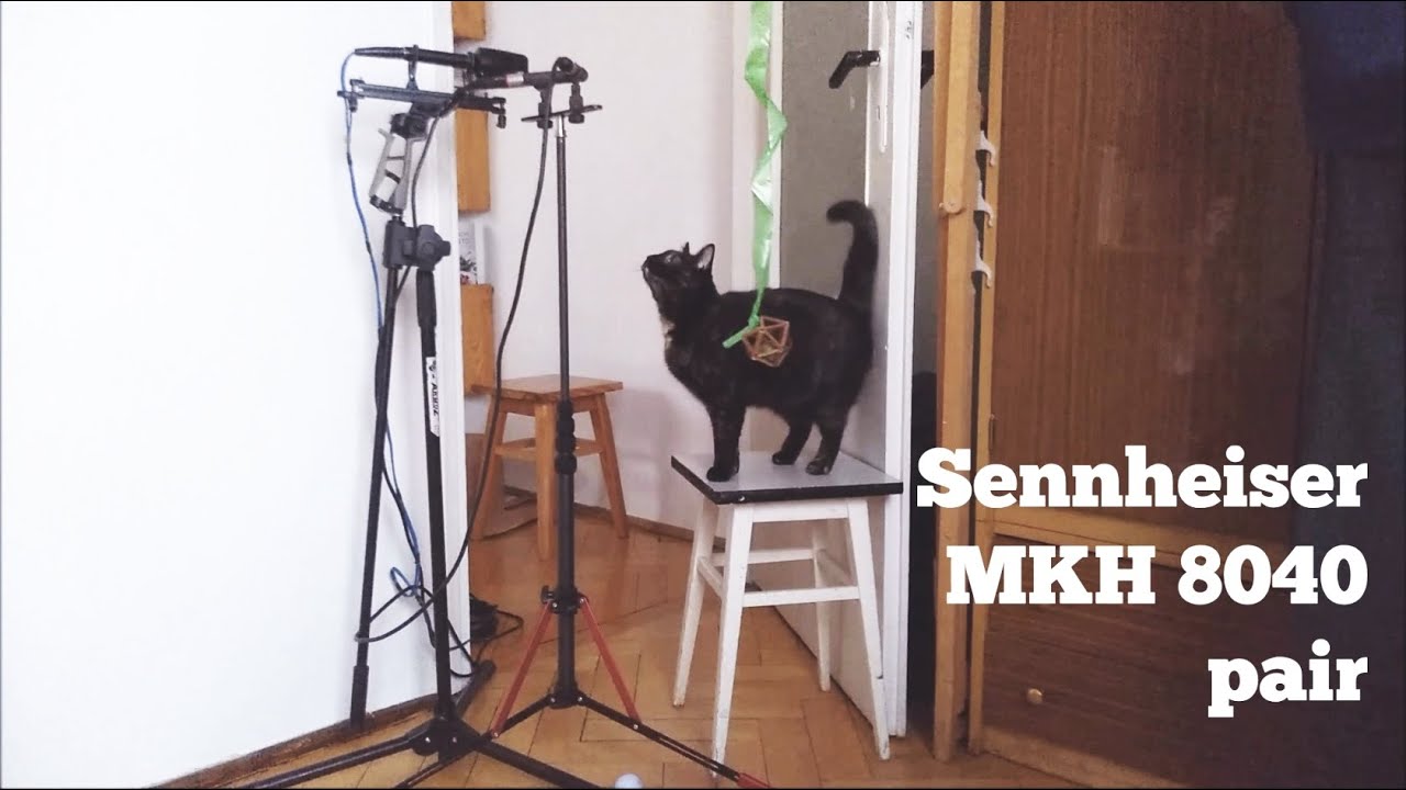 Soft Sounds Mic Comparison - Audio Technica BP4025 vs. Sennheiser MKH 8040 - Field Recording