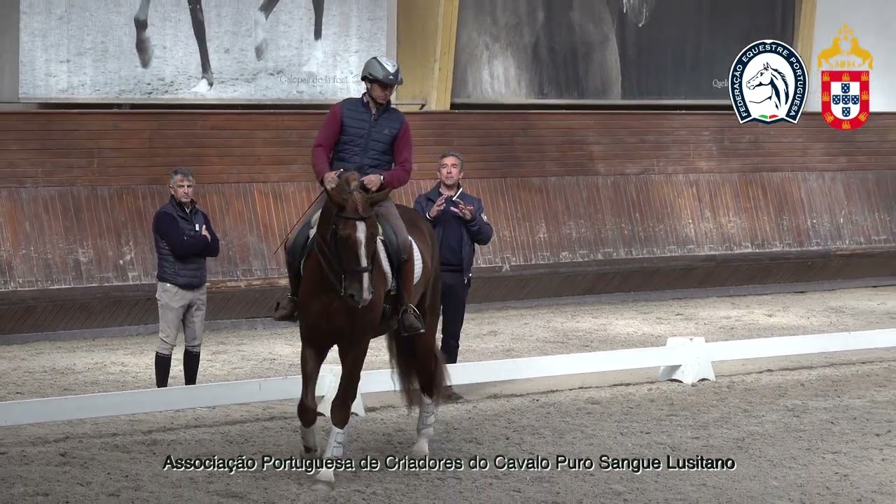 241029 4 rojeto de Ensino APSL&FEP - António Brito Paes com Padilha do Pilar