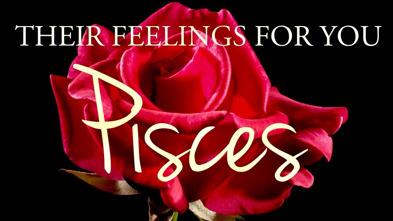 PISCES tarot love ♓️ Someone Who Is Still In Love With You 💕 You Should Listen To This Message