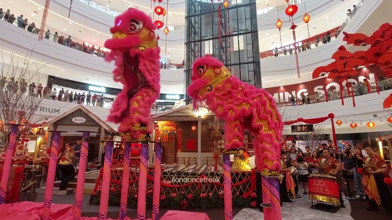 Pre-CNY 2025 - Acrobatic Lion Dance by 槟城宏冠 Penang Hong Guan at Sunshine Central