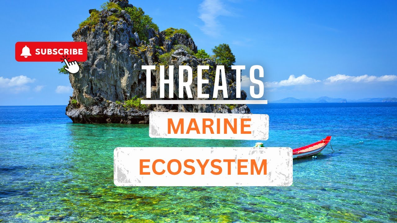 Marine ecosystem and threats they face