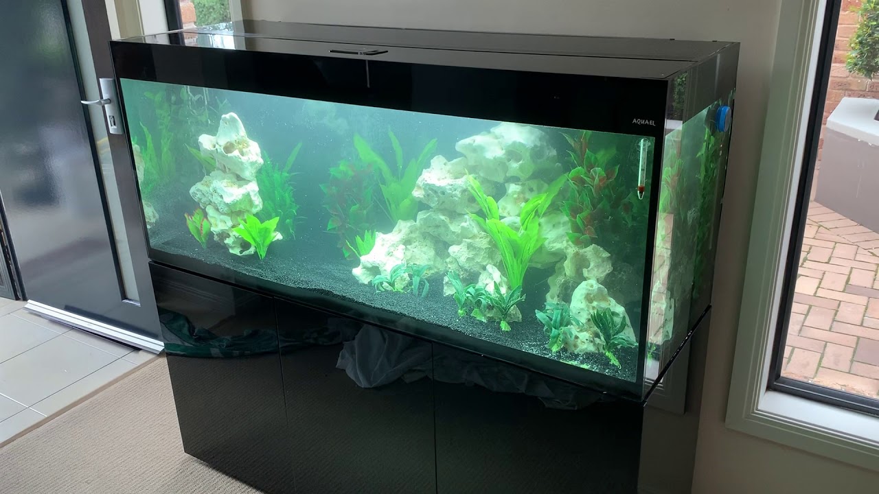 Setting up a very sexy Aquael Glossy Aquarium