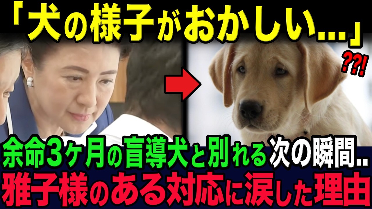 残り3ヶ月の盲導犬と別れる次の瞬間...雅子様が取ったある行動に世界が驚愕..