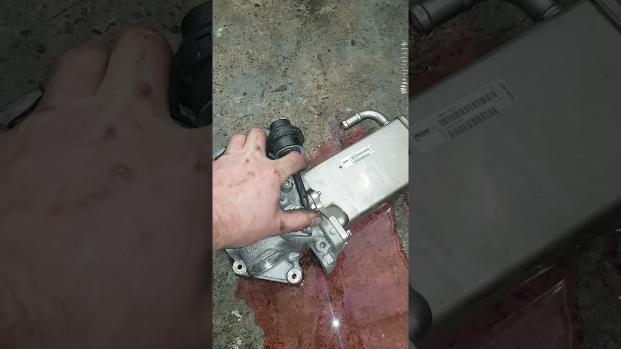 Объяснение неисправности системы рециркуляции EGR на VW