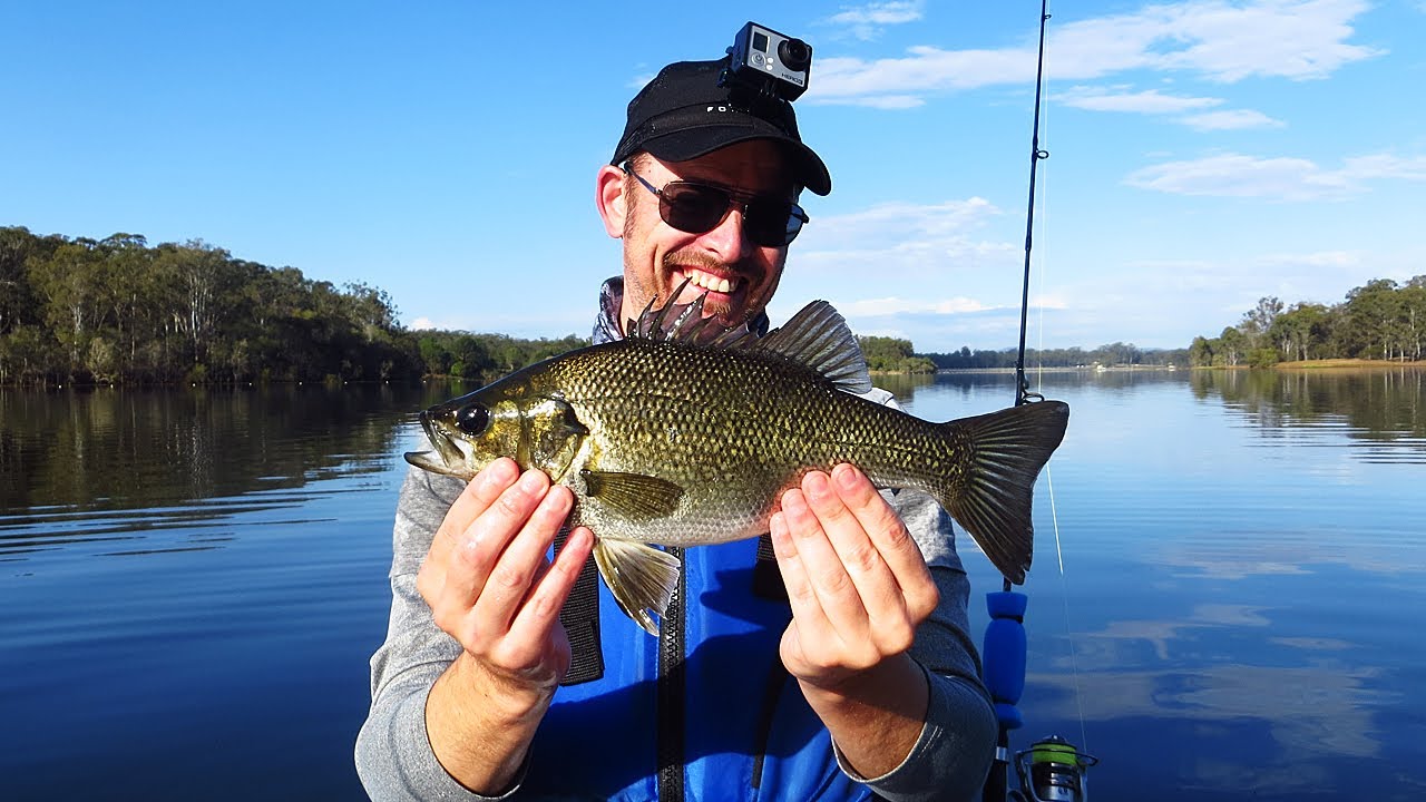 Loads of Bass and a Surprise Saratoga! Kayak Fishing at Lake Kurwongbah