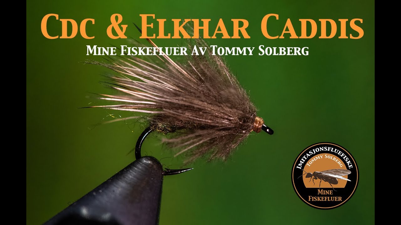 Cdc & Elkhair Caddis. Mine fiskefluer og imitasjonsfluefiske. Fluebinding i blues mancaven.