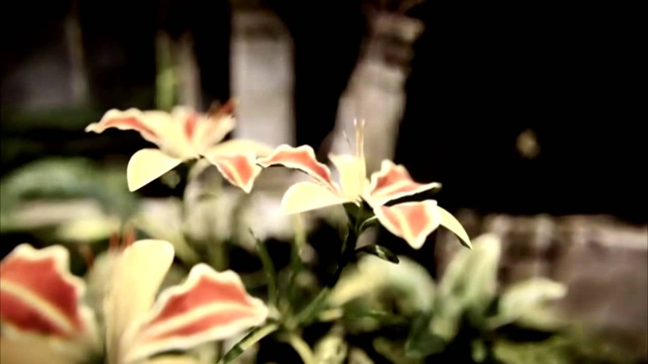 Chambao y Estrella Morente - Lo bueno y lo malo