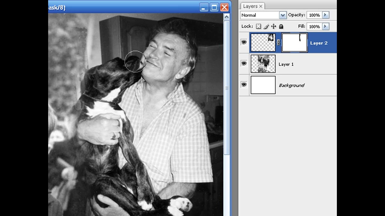 Editing 1-0-1 in (Adobe®) - Creative Suite, Photoshop, Elements, Lightroom, (Microsoft) - Paintshop,