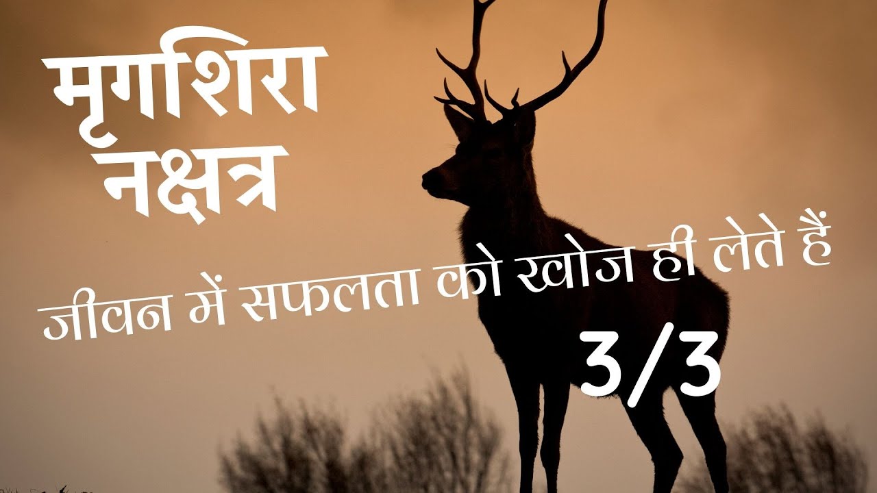 मृगशिरा नक्षत्र (Part 3/3) - चार चरण/ उपाय/ बीज मंत्र