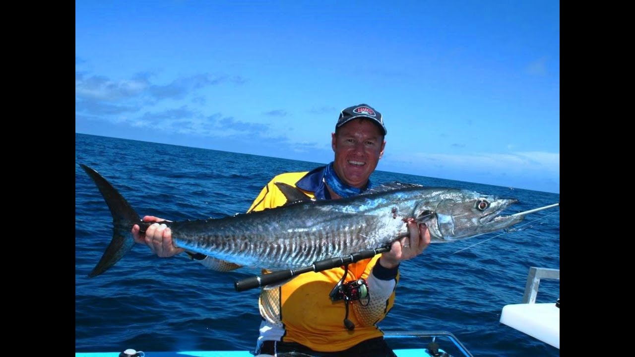 How to catch Spanish Mackerel (and King Mackerel)