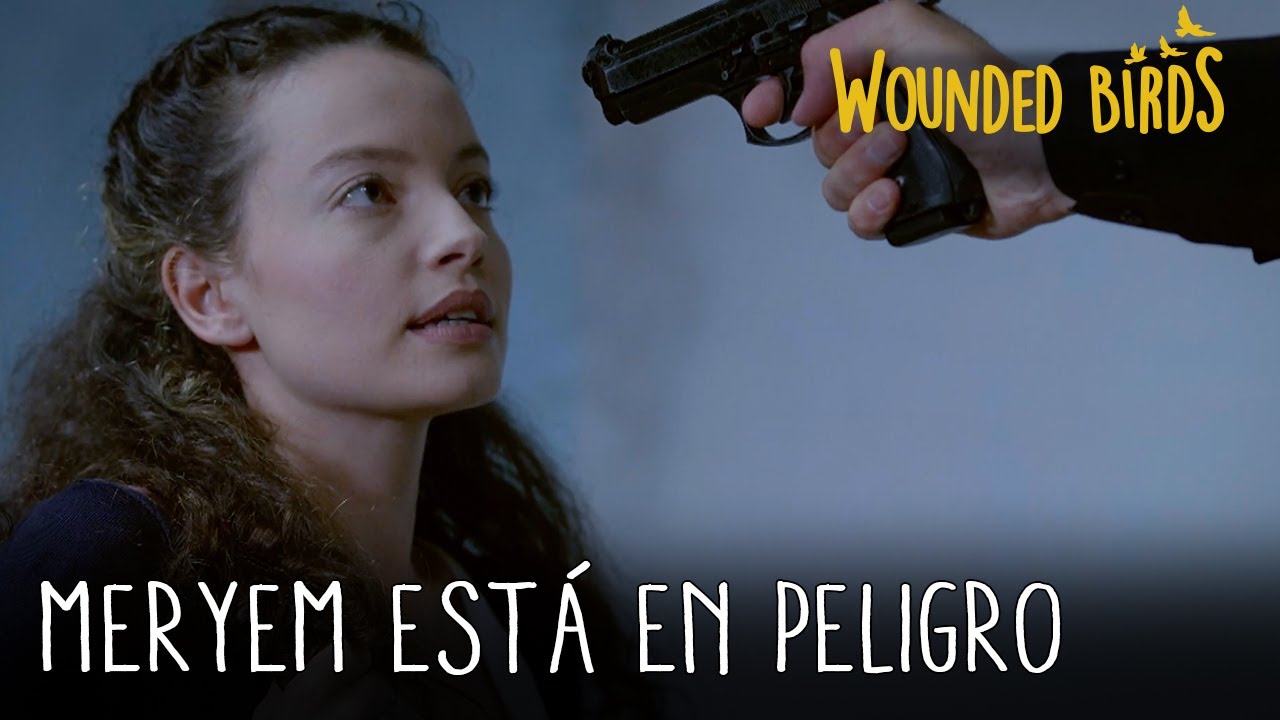 Meryem est&aacute; en peligro | Wounded Birds (Yaralı Kuşlar) Cap&iacute;tulo 67
