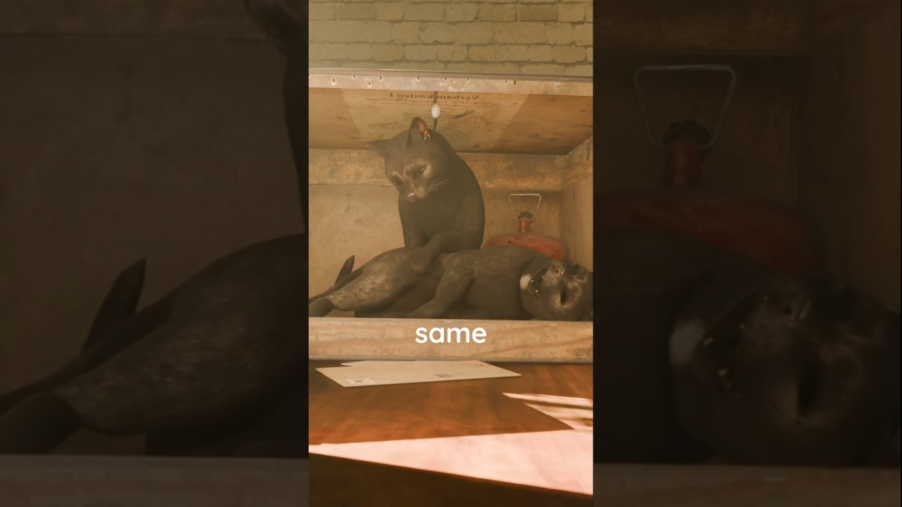 The Schr&ouml;dinger's Cat  🤯        #physics #science #quantum #cat #facts #3d #animation #shorts #atom