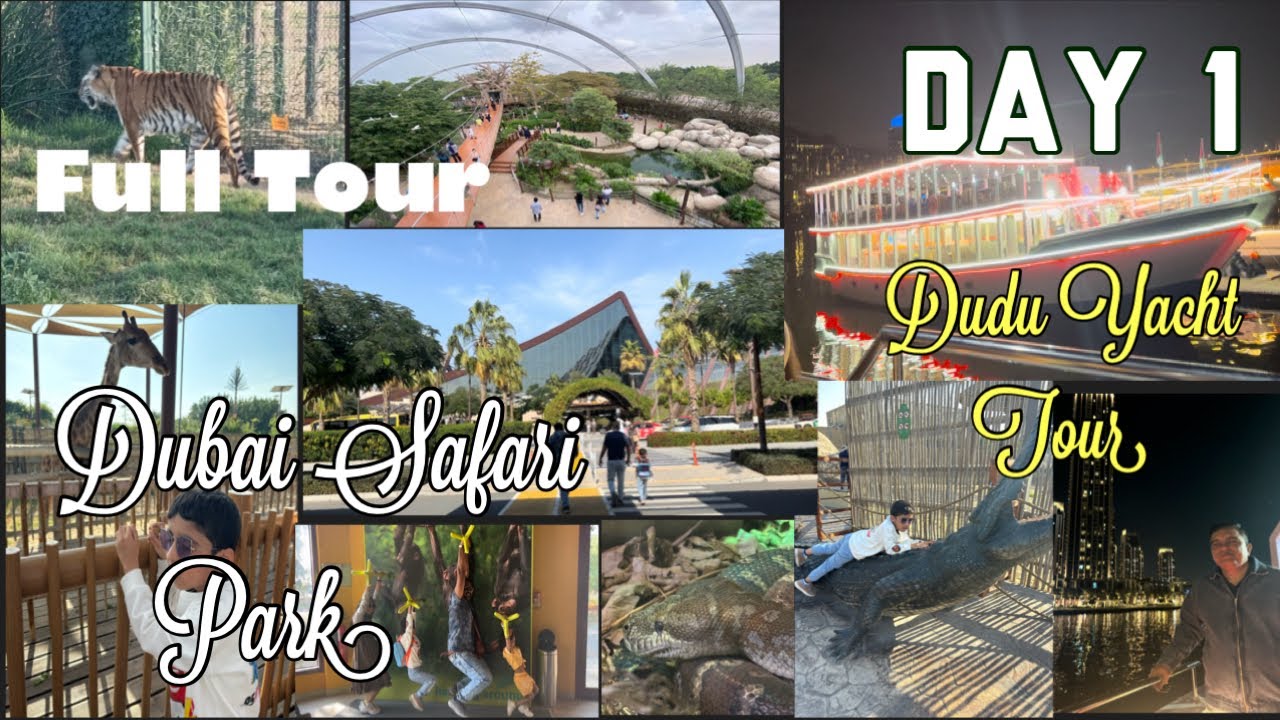 Dubai Safari Park & Zoo Tour||largest wild life Park with 3000 Animals🐅🦧🦓||Dubai Yacth Tour🛥️ #dubai