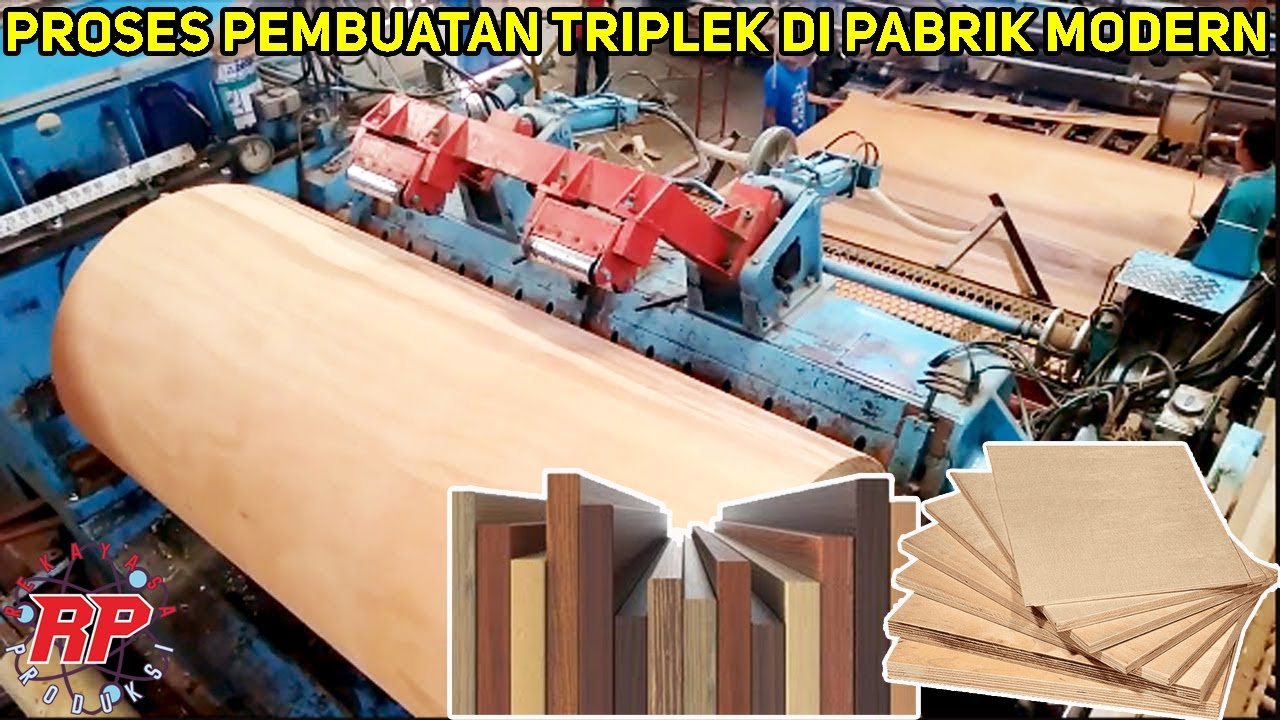 BEGINI TAHAPAN PROSES PEMBUATAN KAYU LAPIS DI PABRIK MODERN TRIPLEK