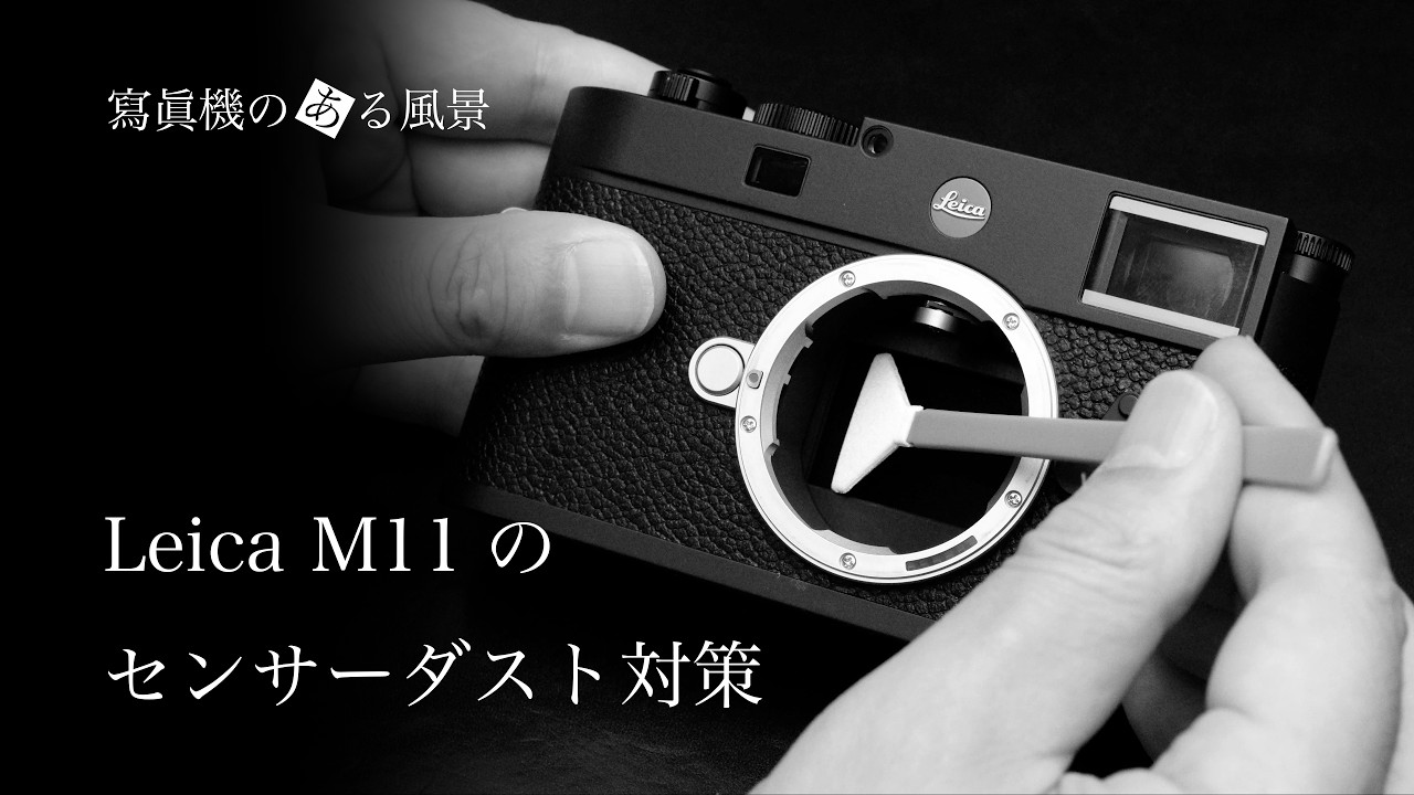 ライカ Leica M11のセンサーダスト対策 - 自宅でやるセンサークリーニング -