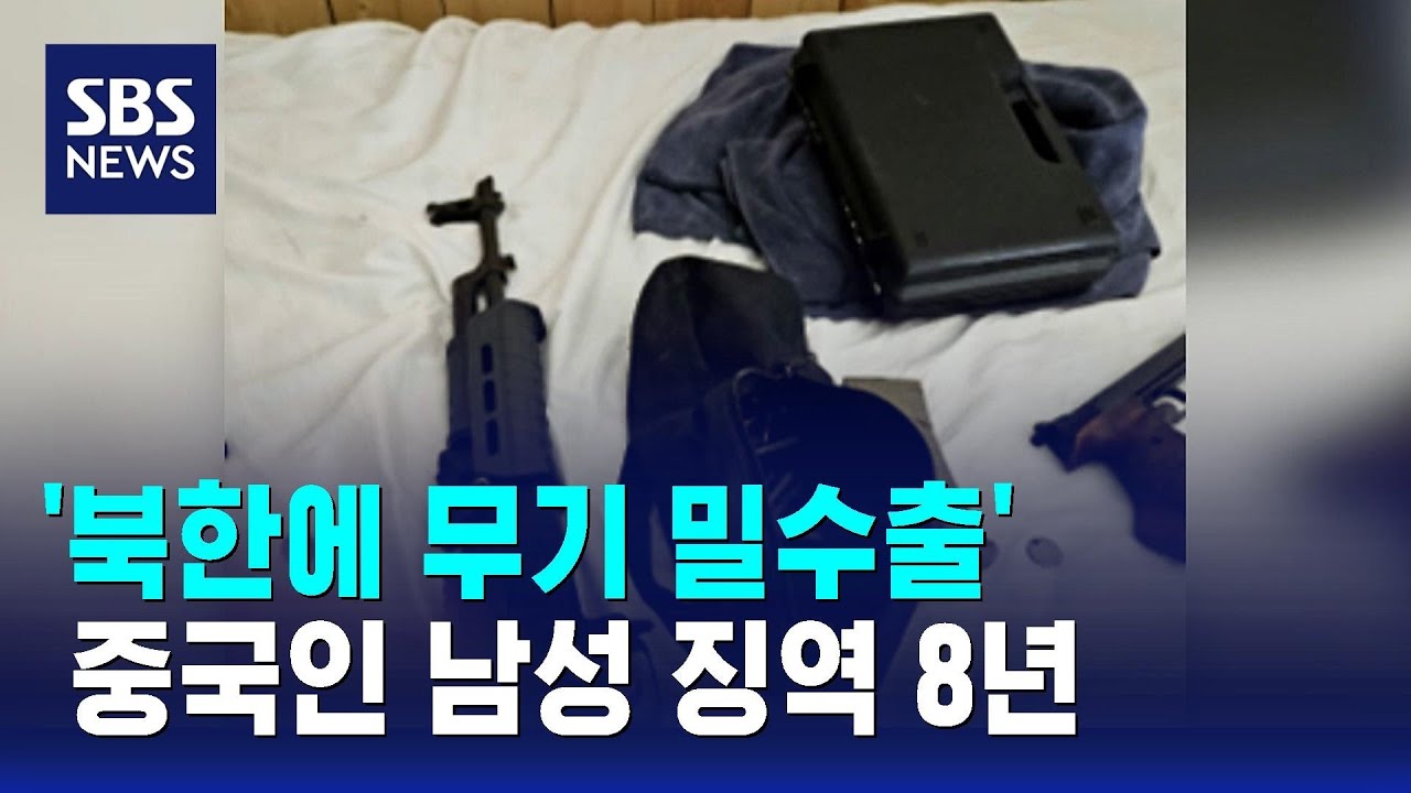 '북한에 무기 밀수출' 중국인 남성 징역 8년 / SBS
