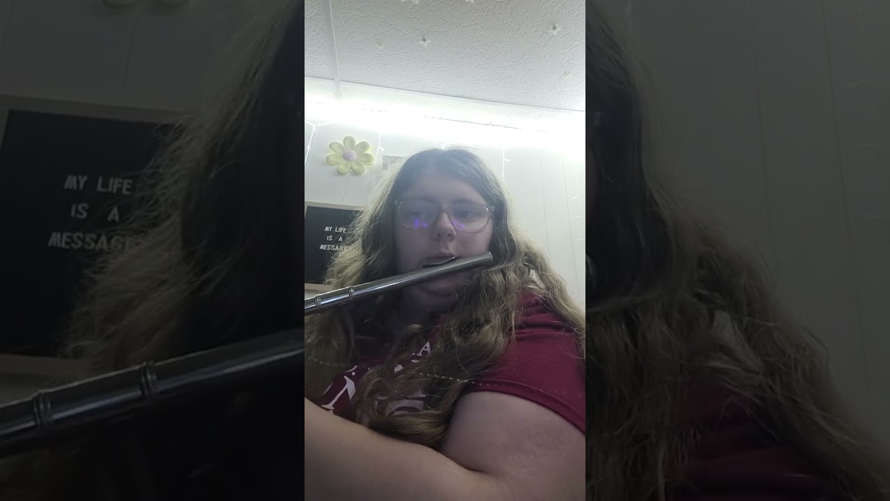 blank space flute cover