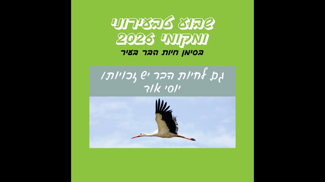 גם לחיות הבר יש זכויות/ יוסי אוד