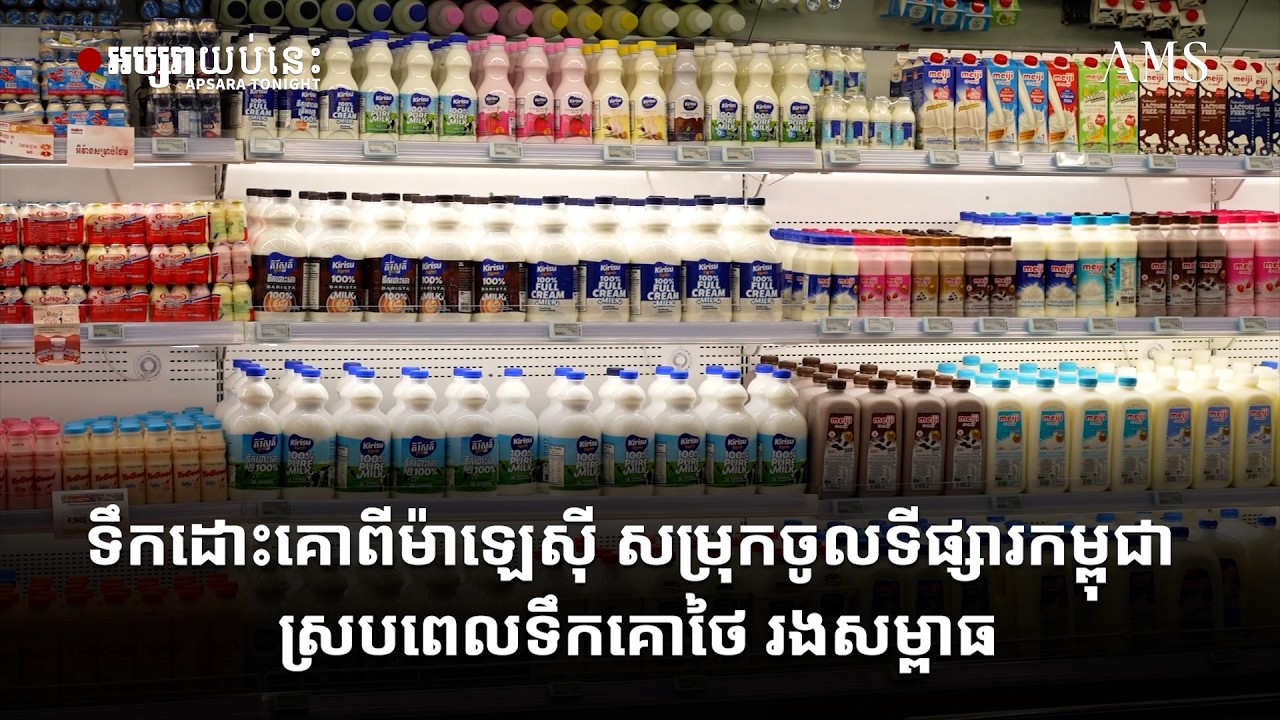 ទឹកដោះគោពីម៉ាឡេស៊ី សម្រុកចូលទីផ្សារកម្ពុជា ស្របពេលទឹកគោថៃ រងសម្ពាធ