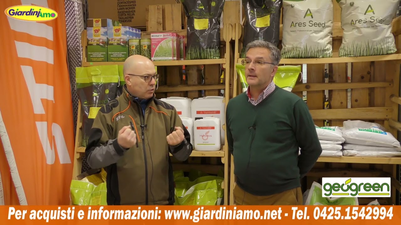 Esiste un seme da prato che cresca senza irrigazione?