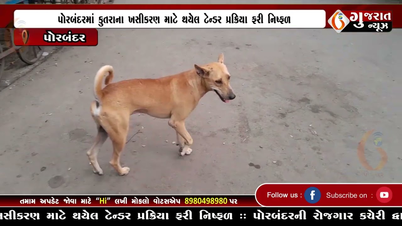 GUJARAT NEWS PORBANDAR 24 06 2026
