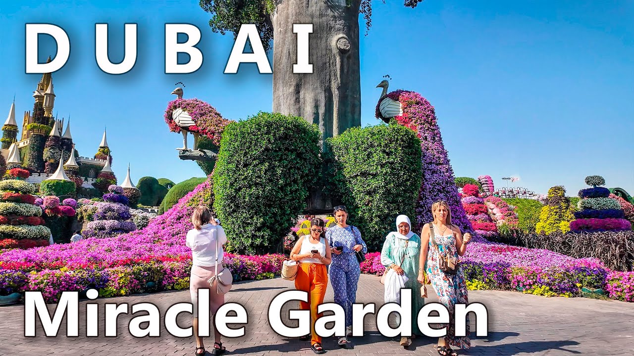 Dubai Miracle Garden Walking Tour UAE 4K🇦🇪
