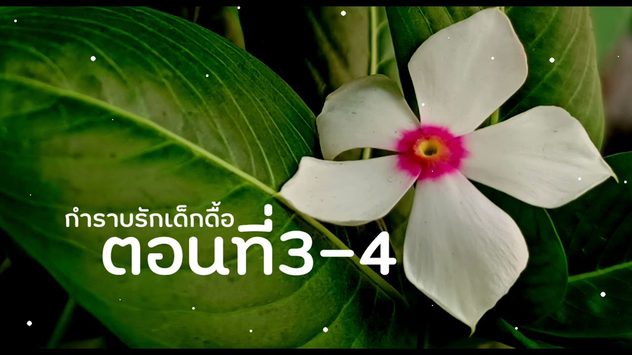 นิยายยูริ หญิงรักหญิง กำราบรักเด็กดื้อ ตอนที่3-4 | สวิชญา