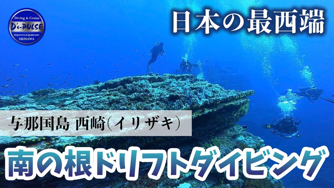 与那国☆西崎ダイビング・ディーズパルス沖縄