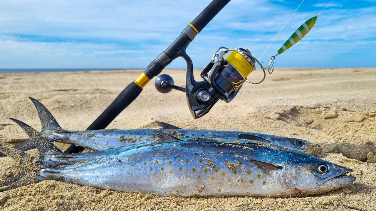 Que buena se pone la PESCA DE PLAYA con JIGS