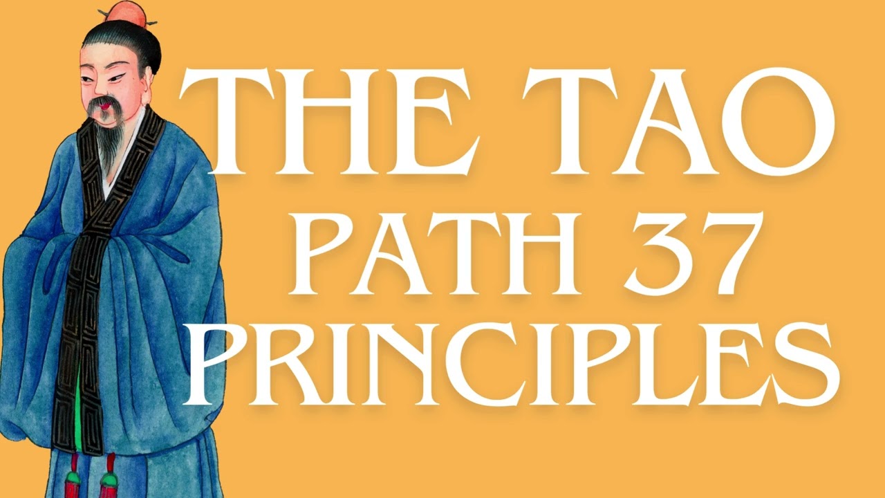 The Tao Path :Taoism for Daily Living: The Practical Guide to Applying 33 Principles