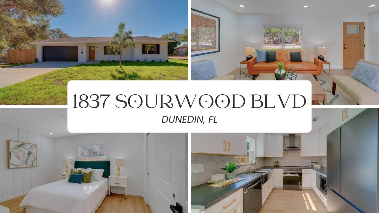 Top-to-Bottom Renovated Home in Dunedin, FL 🏡✨ | Full Home Tour