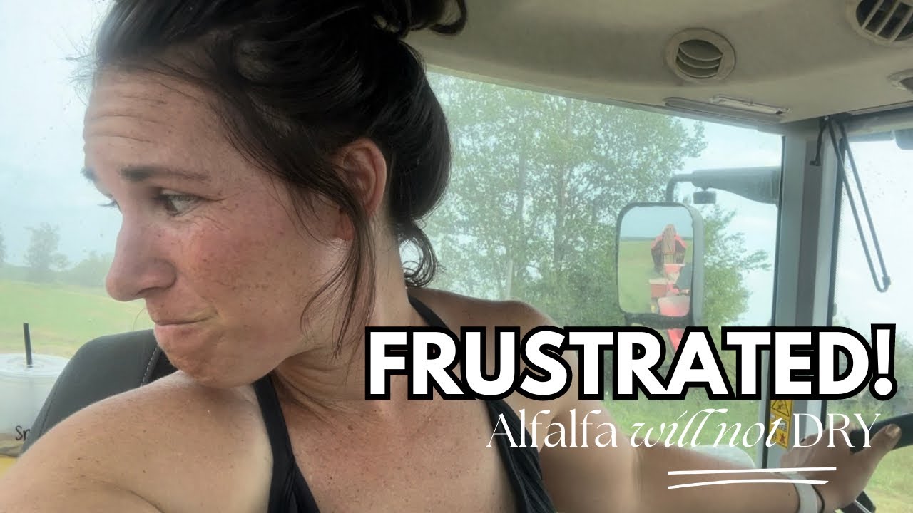 Fed up ..  HOT & Humid 🥵...its a nightmare baling alfalfa | { A Farm Vlog } #hay season 2023