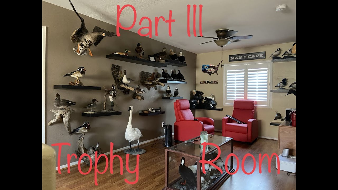 Waterfowl Taxidermy Trophy Room 3.....Guides and Outfitters