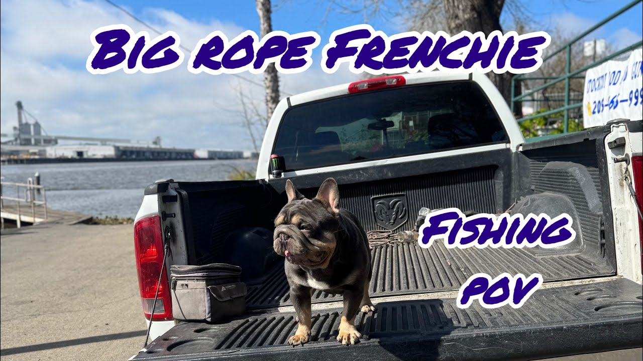 FISHING With My Frenchie GONE WRONG !!! 