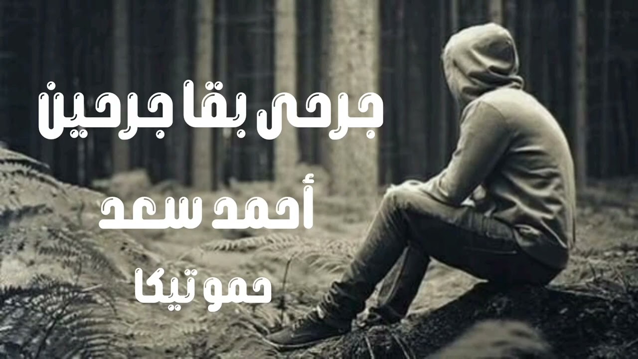 صمخة اغاني مصرية | جرحى أنا - ريمكس استكانه طرب هجوله - مطلوب أكثر شيء - ترند تيك توك 2026