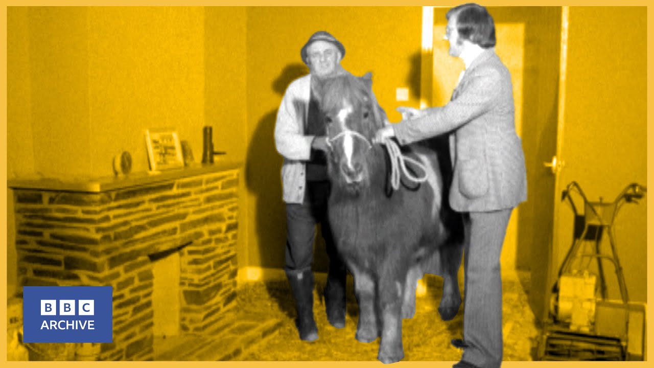 1975: Noddy the horse's LUXURY STABLE | Nationwide | Weird and Wonderful | BBC Archive