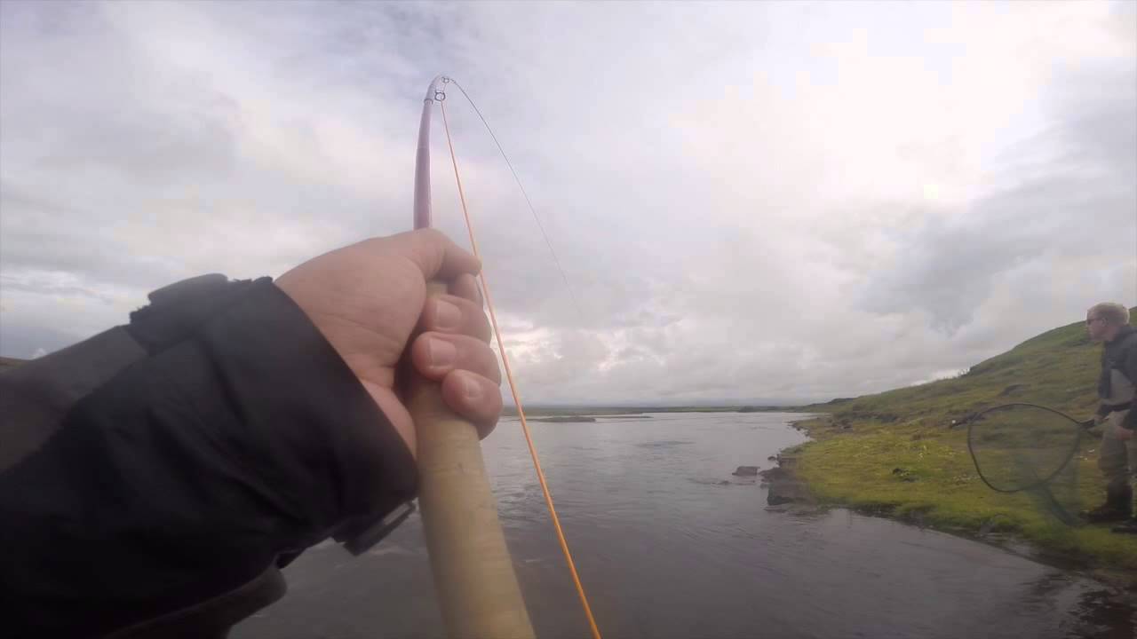 Salmonfishing