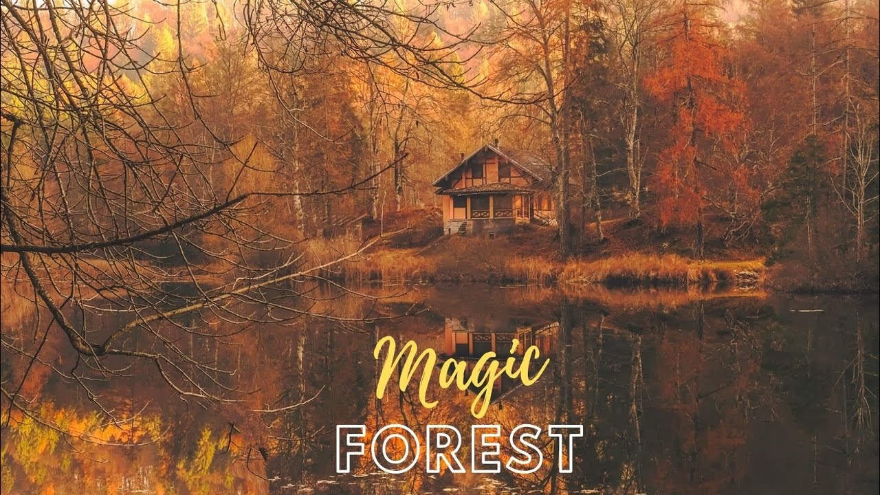 Magischer Wald#Magic Forest